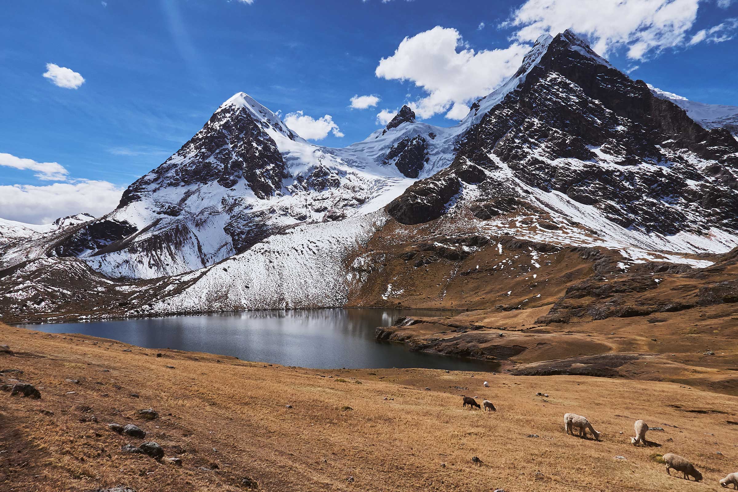 Ausangate trek with Rainbow Mountain (4 Days / 3 Nights)